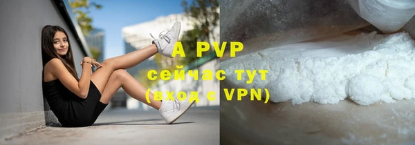 Альфа ПВП Гусев