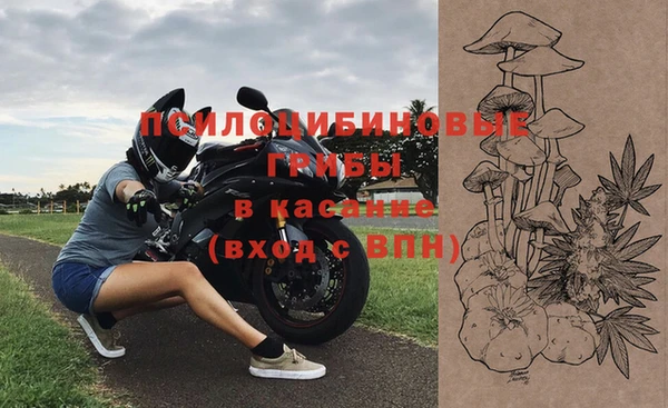 кристаллы Гусь-Хрустальный