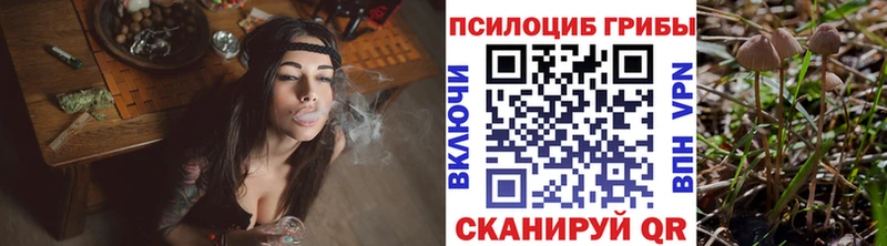 Купить закладки  Нижний Ломов  Псилоцибиновые грибы мицелий 